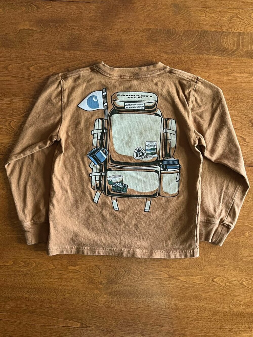Carhartt tan National Parks graphic shirt 5